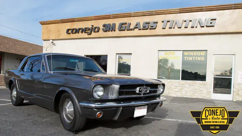 Conejo Auto project